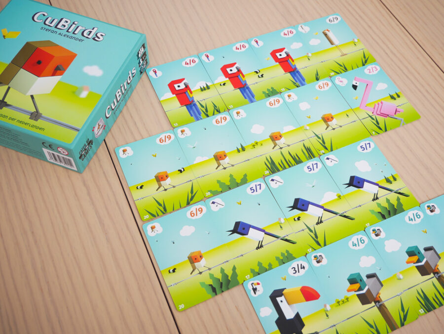 CUBIRDS - Imagen 2