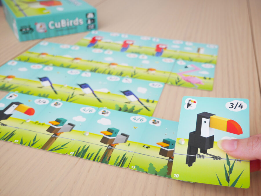 CUBIRDS - Imagen 3
