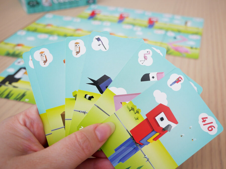 CUBIRDS - Imagen 4