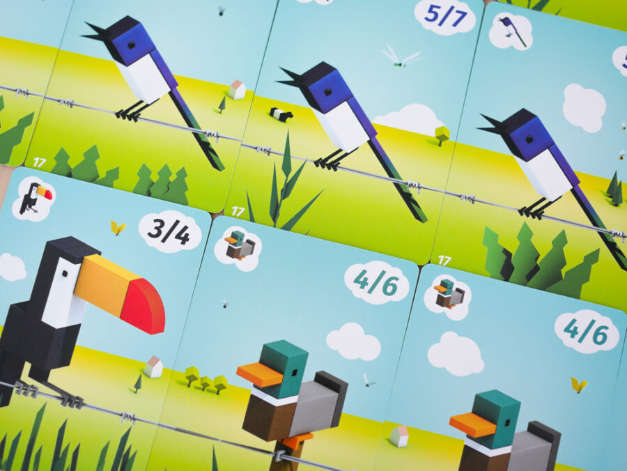 CUBIRDS - Imagen 5