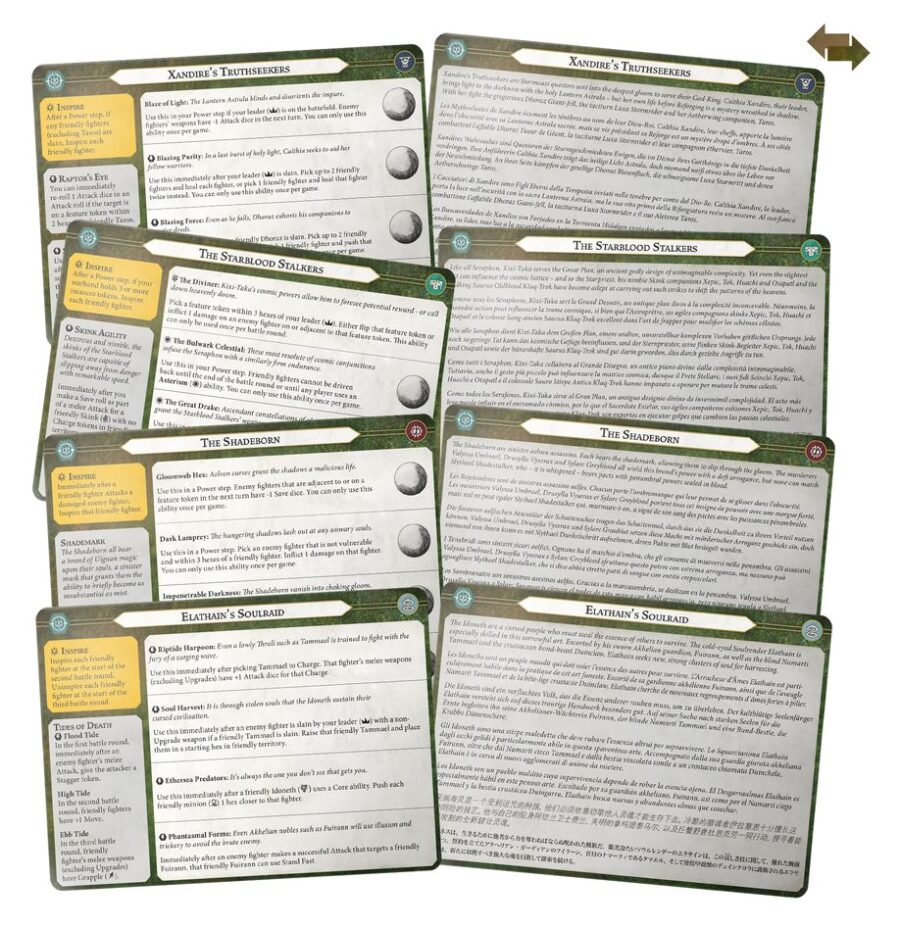 Order: Protectores en la penumbra (Seekers in Shadow) - Imagen 9