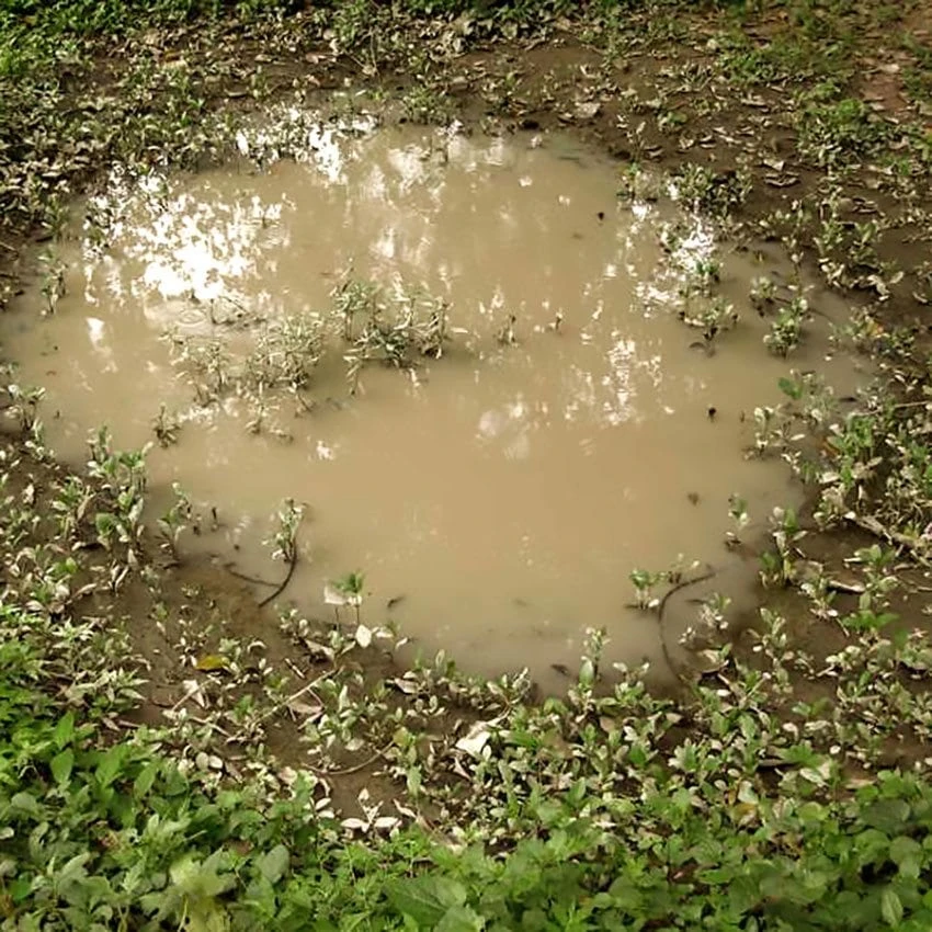 AK8028 - Puddles 60ML - Imagen 4