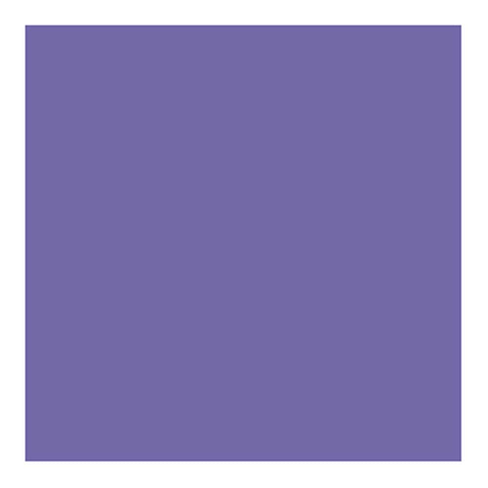 70811 - 051 - Violeta Azul - Imagen 2