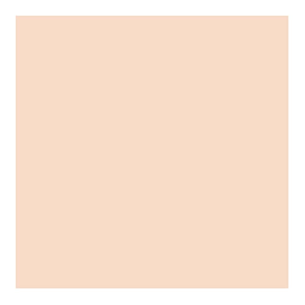 70928 - 005 - Carne Clara - Imagen 2